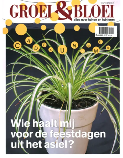 groei20en20bloei2012 2019.webp