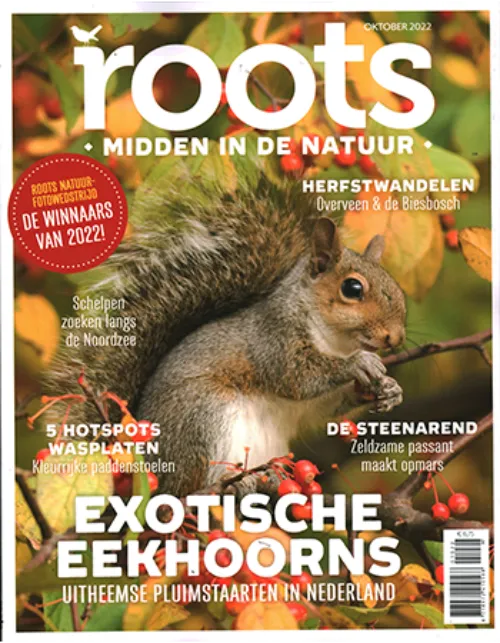 roots 10 2022.webp
