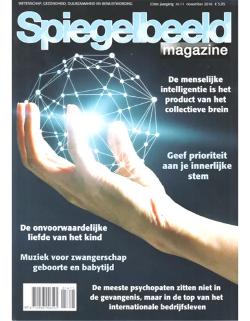 spiegelbeeld2011 2016.webp