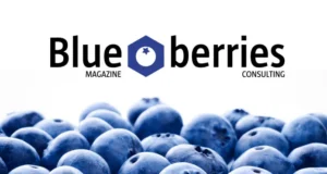Blueberry