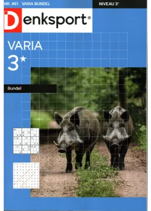 Denksport Variabundel - 461 2025