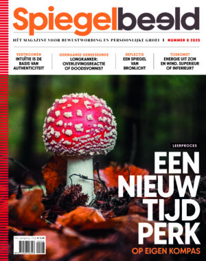Spiegelbeeld Magazine abonnement
