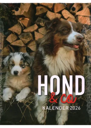 Hond & Co Kalender - 2026
