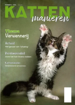 Kattenmanieren - 06 2025