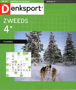 Denksport Zweeds Puzzelblok - 53 2026