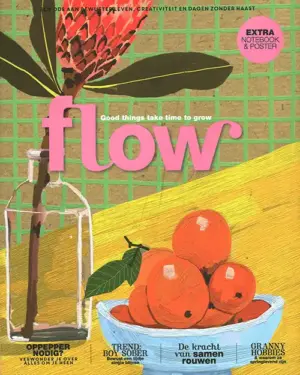 Flow - 02 2026