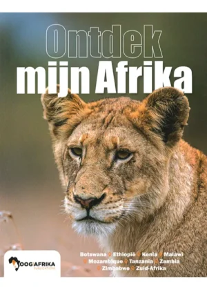 OOG voor Afrika - Ontdek mijn Afrika - 03 2025