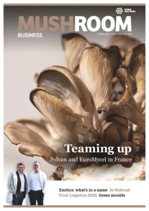 Mushroom Business abonnement