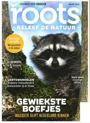 Roots - 03 2026