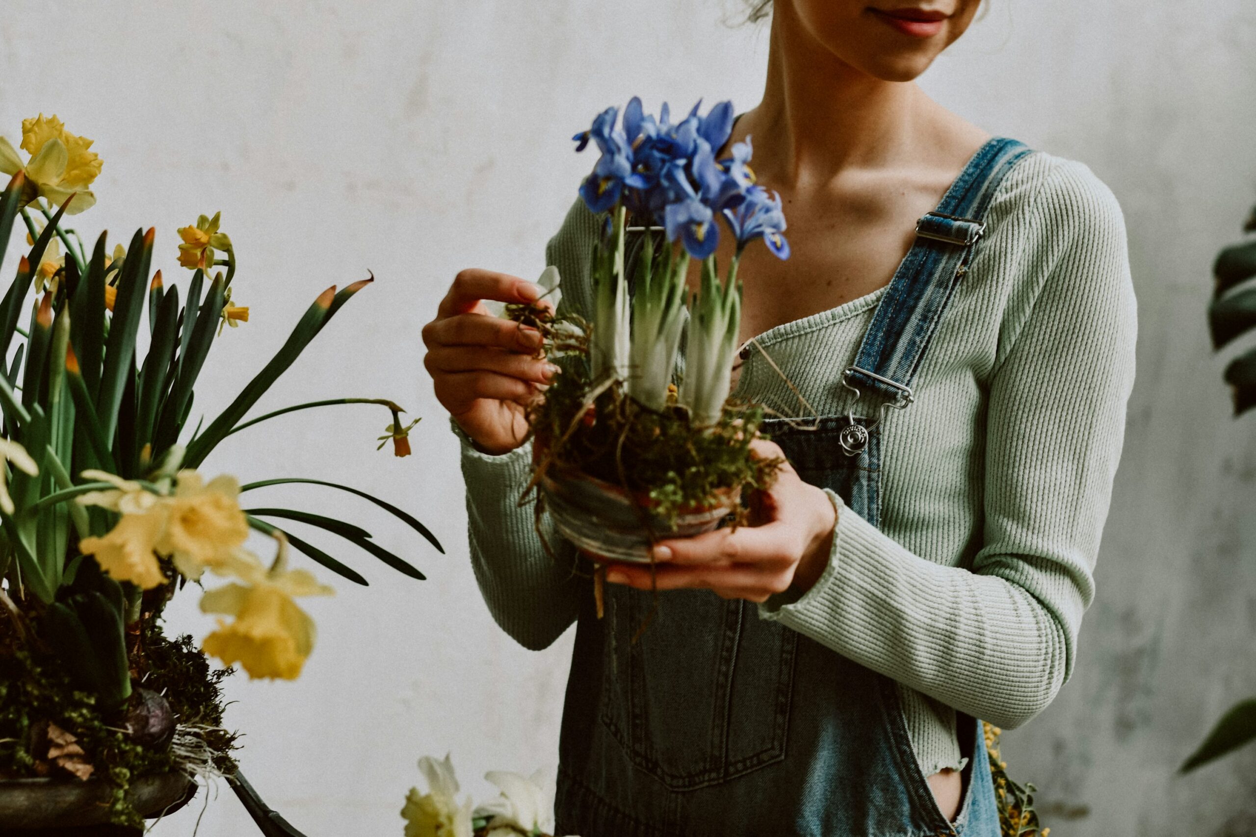 A woman holding a potted plant in her hands