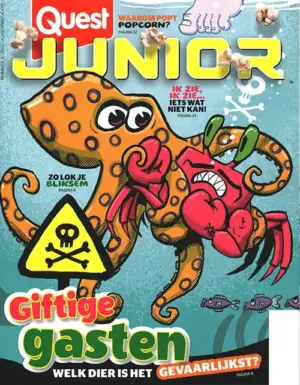 Quest Junior - 04 2026