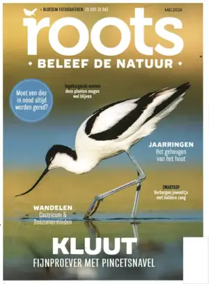 Roots - 05 2026