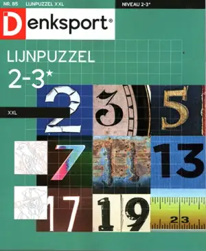 Denksport Lijnpuzzel - XXL 85 2026