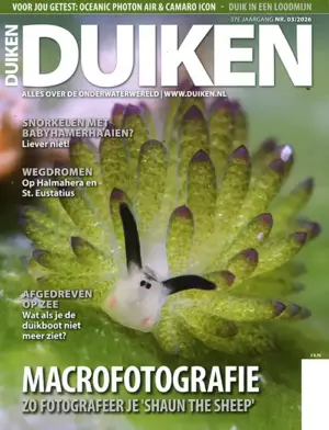 Duiken - 03 2026