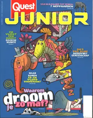 Quest Junior - 05 2026