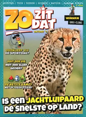 Zo zit dat - 06 2026