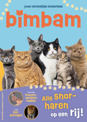 BimBam abonnement
