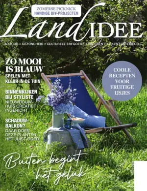 Landidee - 07 2026