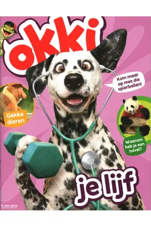 Okki - 08 2026