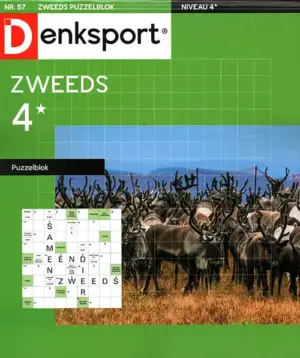 Denksport Zweeds Puzzelblok - 57 2026