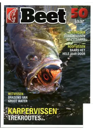 Beet - 05 2026